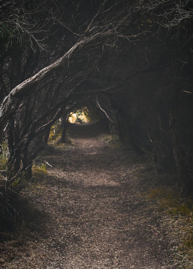 forest
