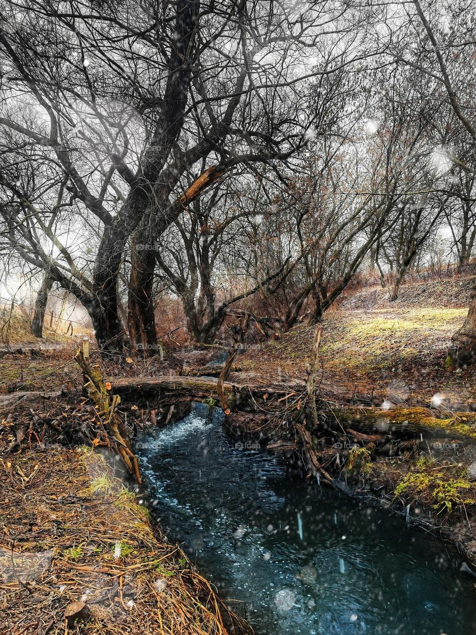 The first snowfall by the river