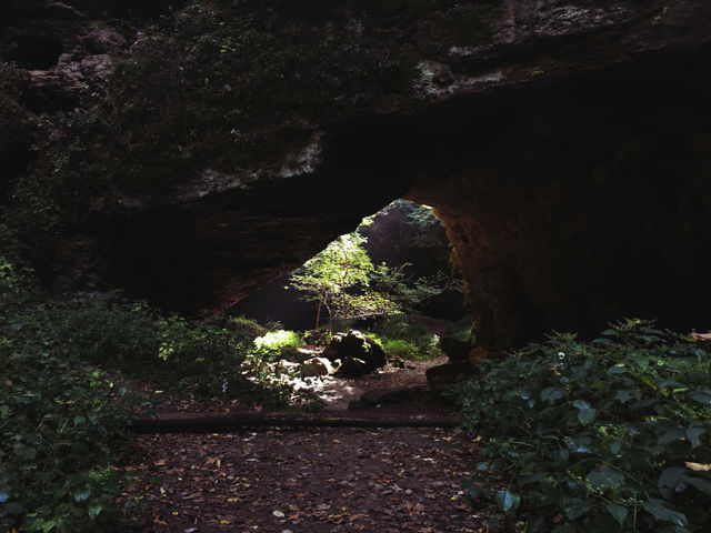 Nature