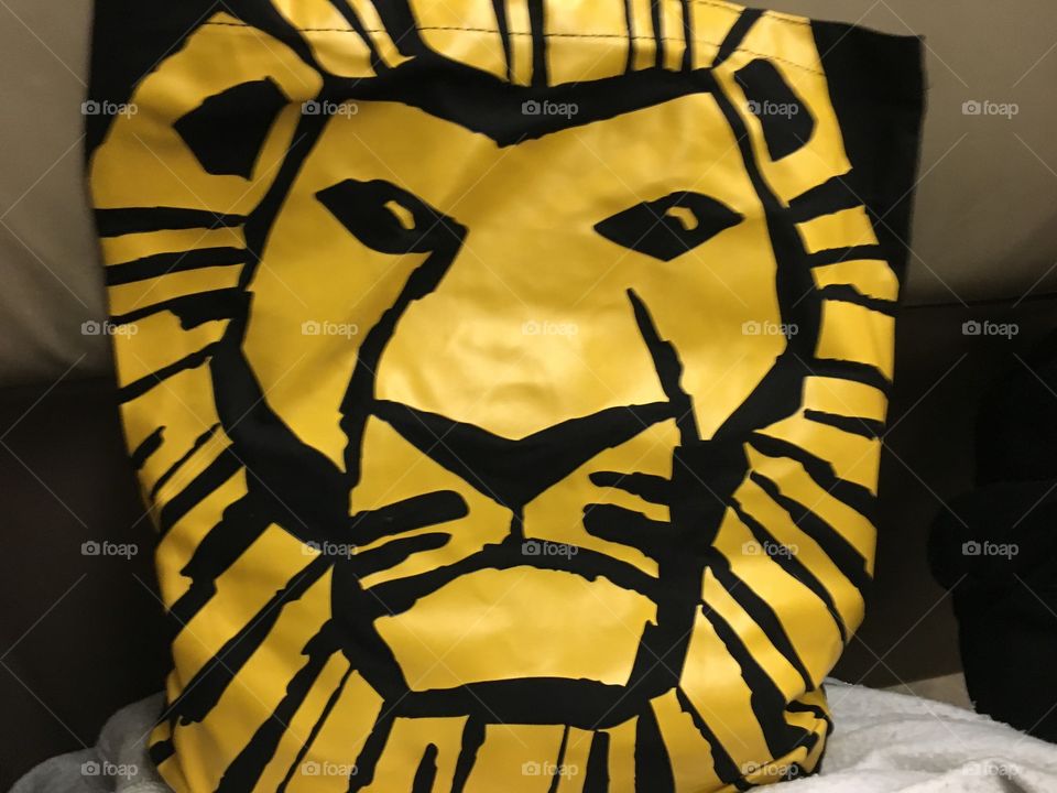 The Lion King, souvenir from show in NYC at Christmas 