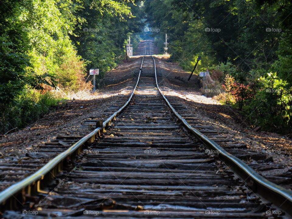 Railroad track go on for ever and ever gorgeous landscape