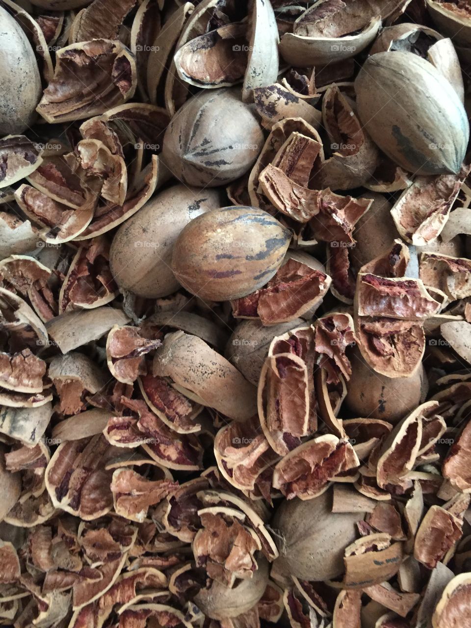 Pecan shells