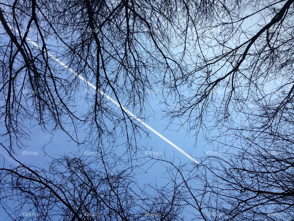 Sky and airplane