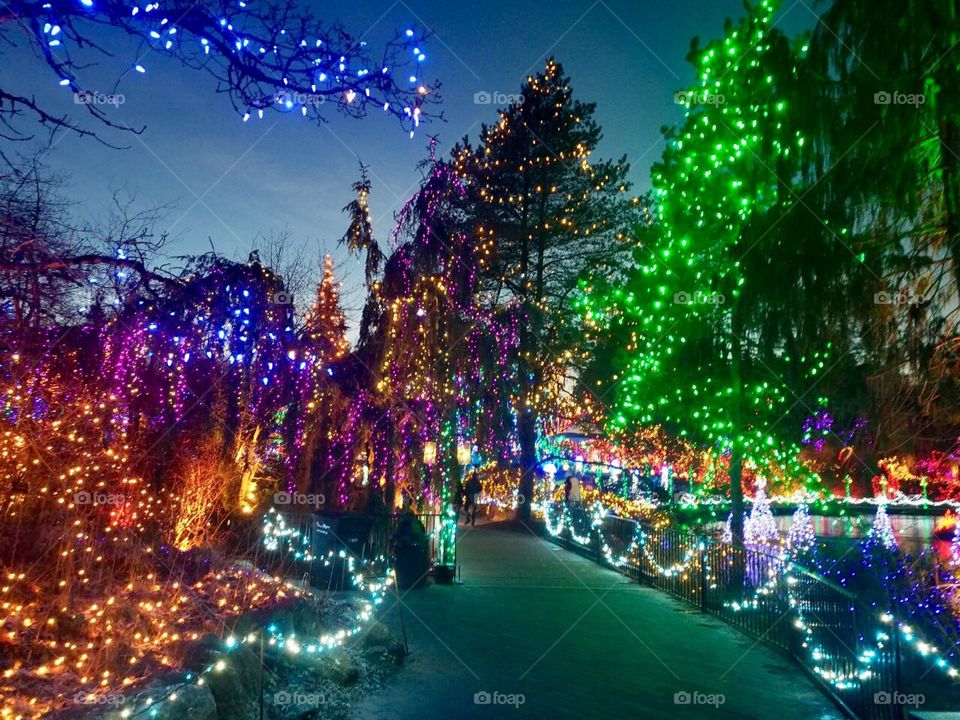 Christmas illuminated path