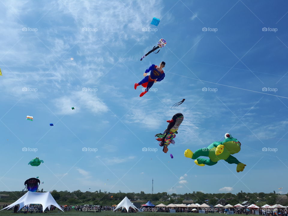 Kite show. Big kites in the sky. Kite competition