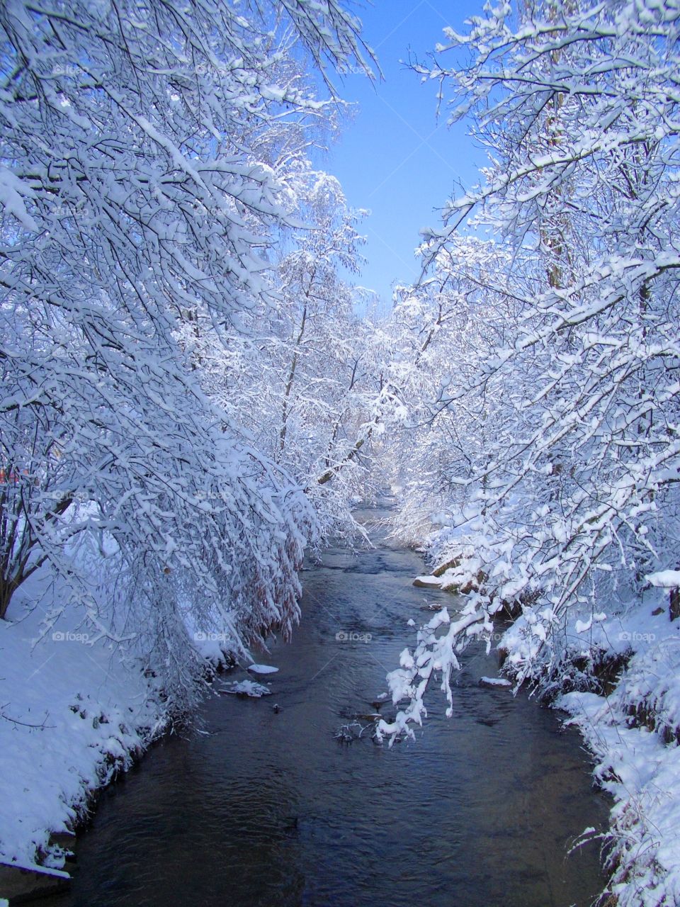 Stream in winter
