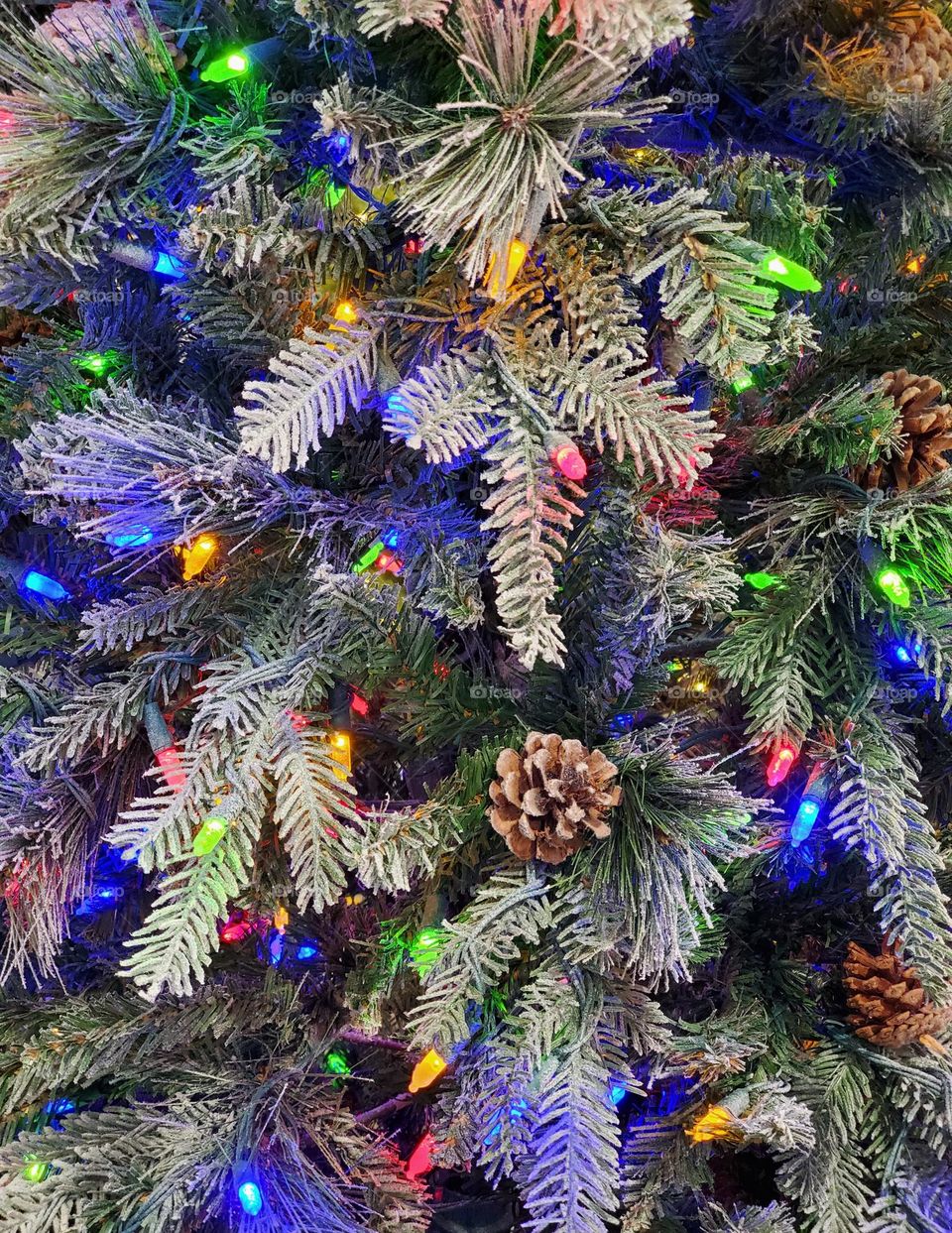 Colorful Lights on Christmas Tree