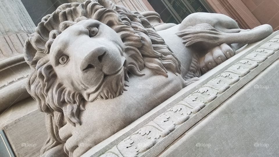 Stone Lion Statue