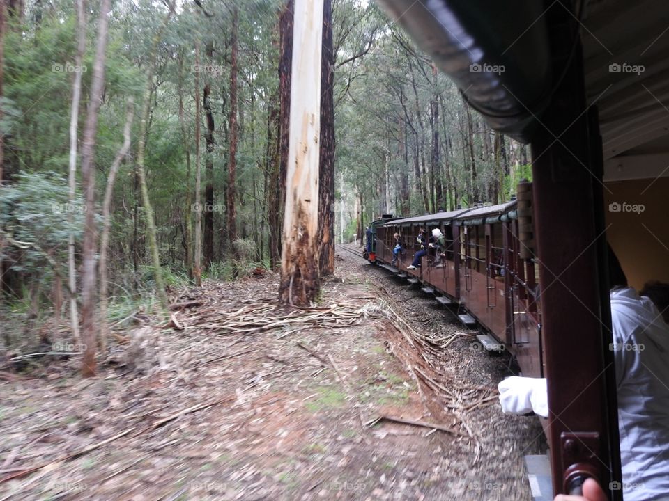 Puffing billy 