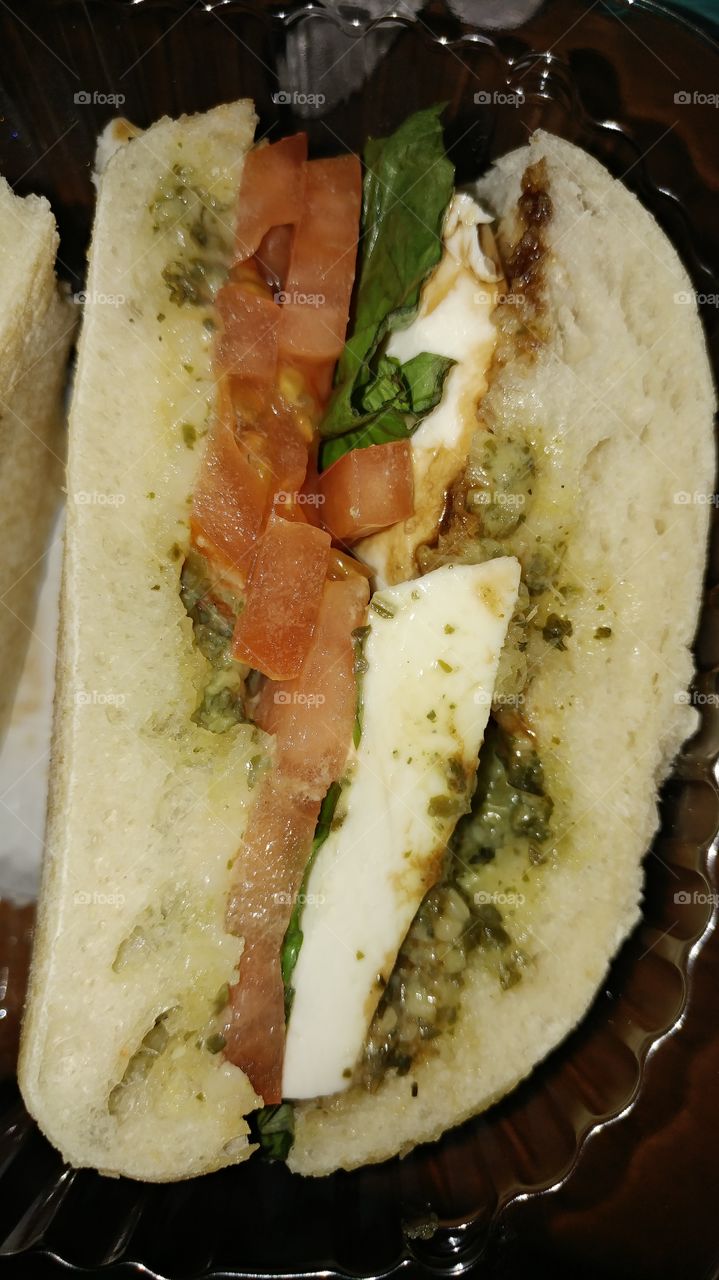 Tomato Mozzarella Sandwich with Balsamic