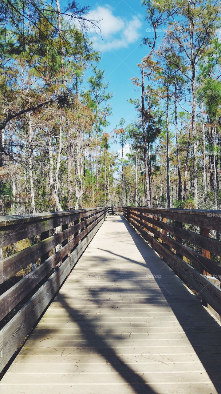 Boardwalk Trail