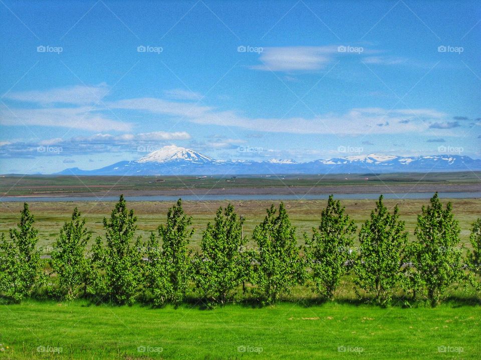 In the distance majestic mountains stand watch over nature’s beauty on display in the summertime.