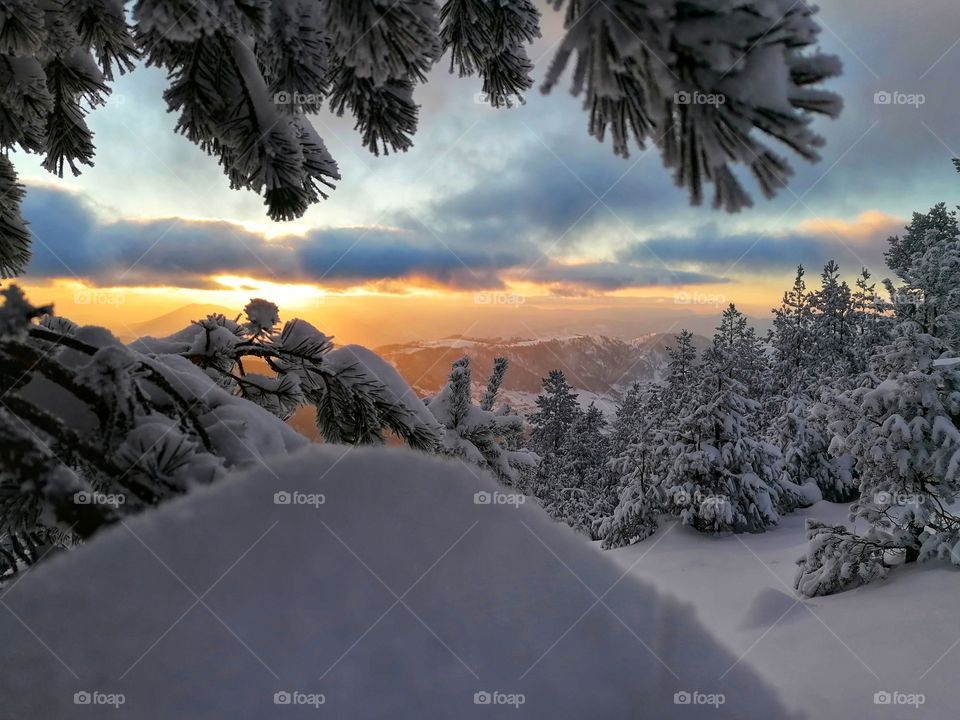 Winter mountain landscape