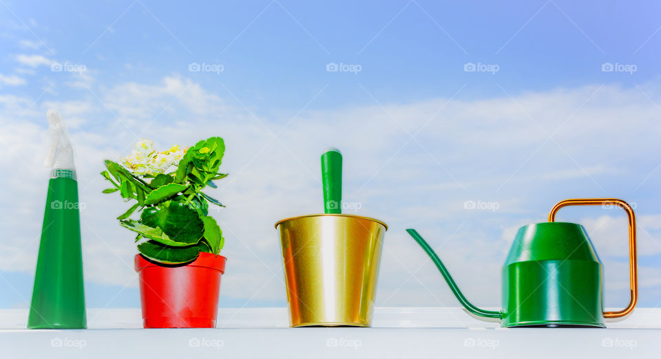 Kalanchoe in a pot, a spray bottle, a watering can and a bucket with a shovel against a clear sky.  Caring for a home plant on a windowsill, replanting a house flower in a pot