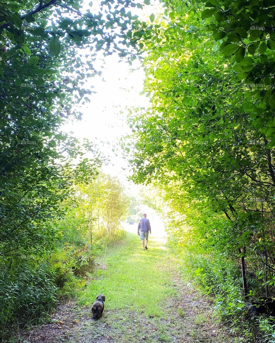 Excessive path through forest