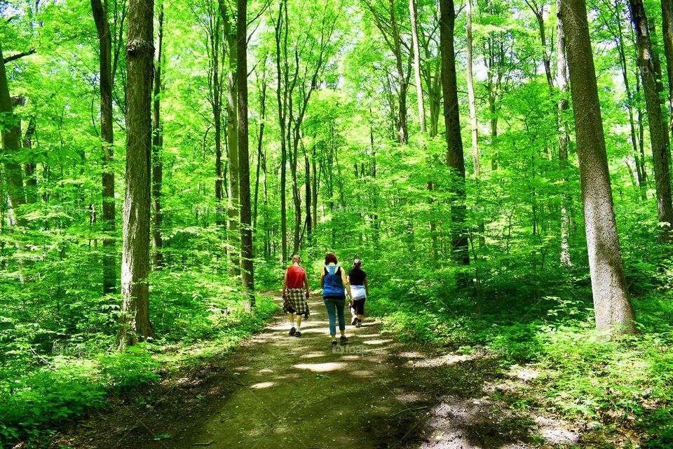 A hike in the woods in Indiana 