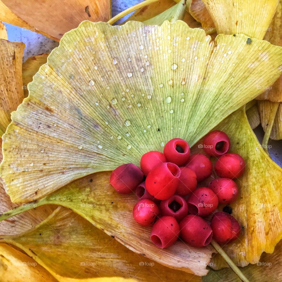 Small domain of health ,you know all the different ways people can fall into a pit...anyhow getting out and cherishing things and people in your vicinity helps one to put some order or manner into infinity...