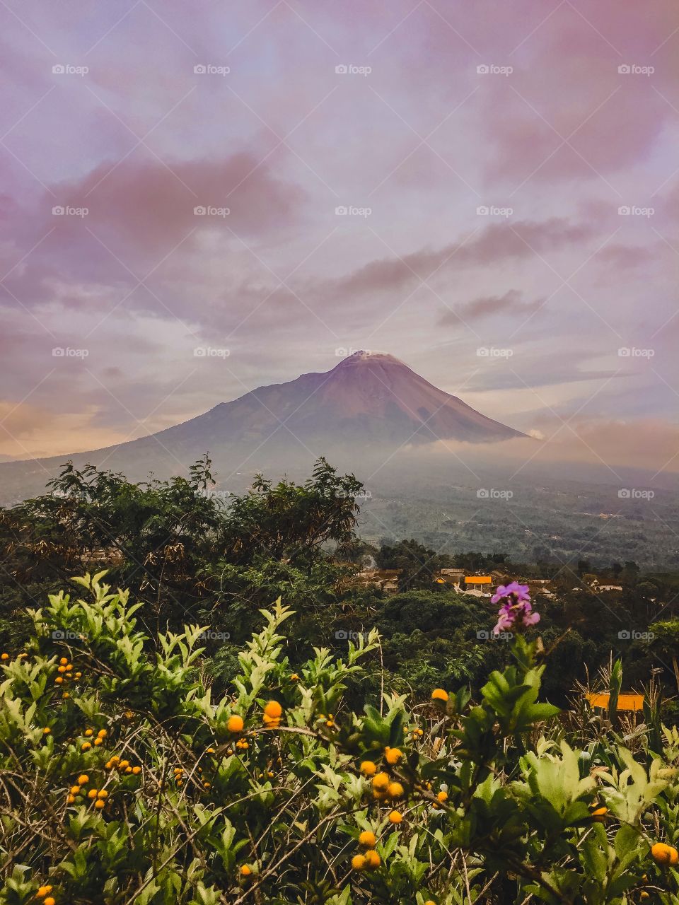 beautiful Merapi volcano in the afternoon