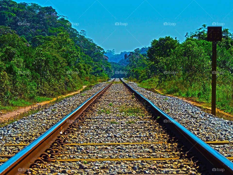 Tropical Railroad