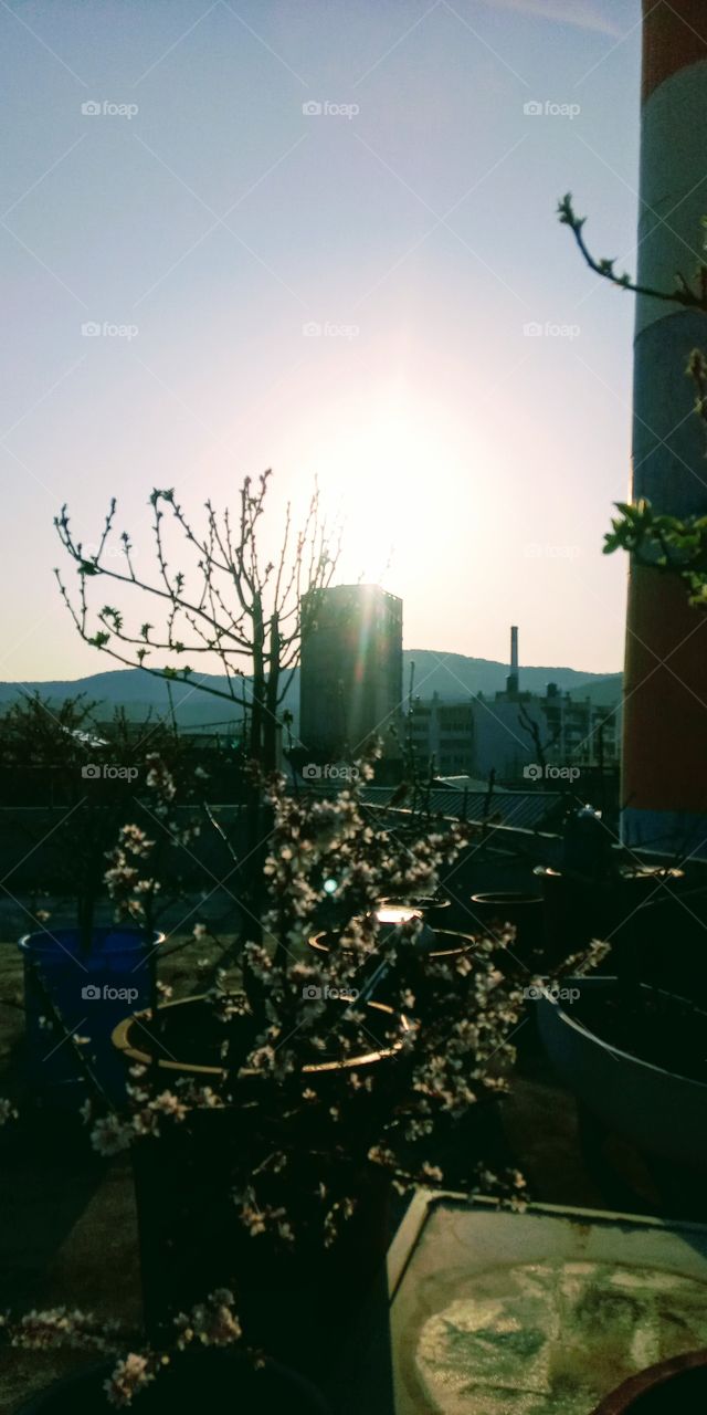 The sunrise that i've taken from our roof top in south korea