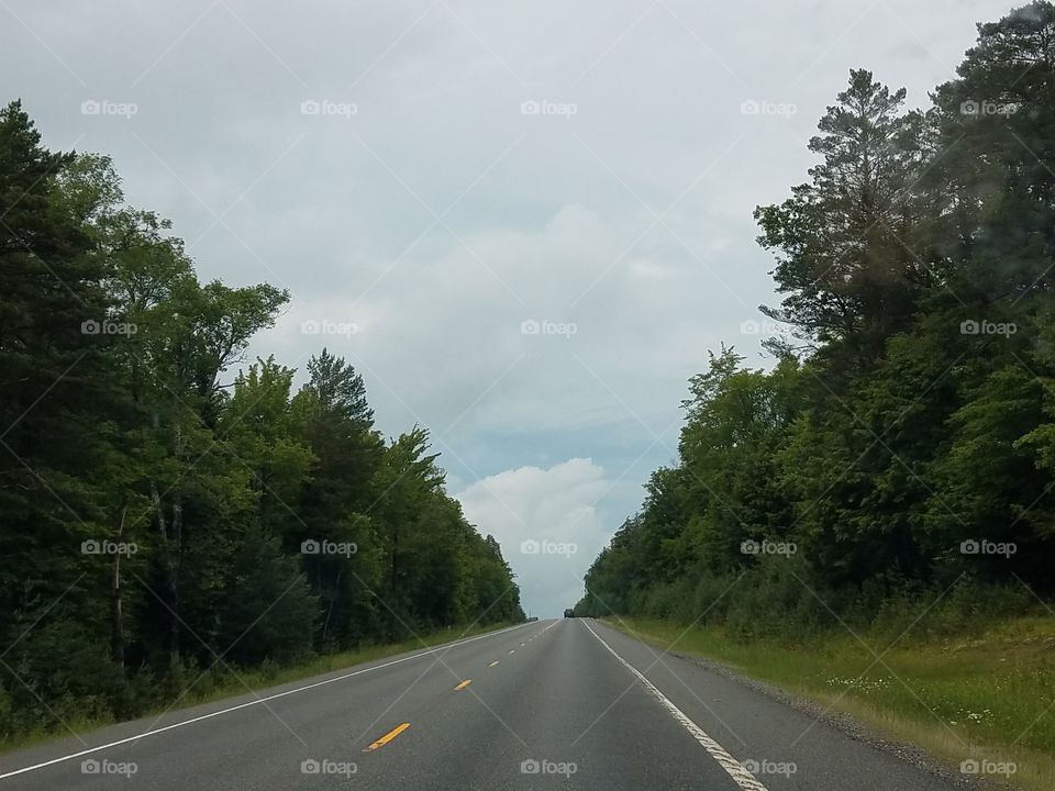 Road, Asphalt, Tree, Highway, Guidance