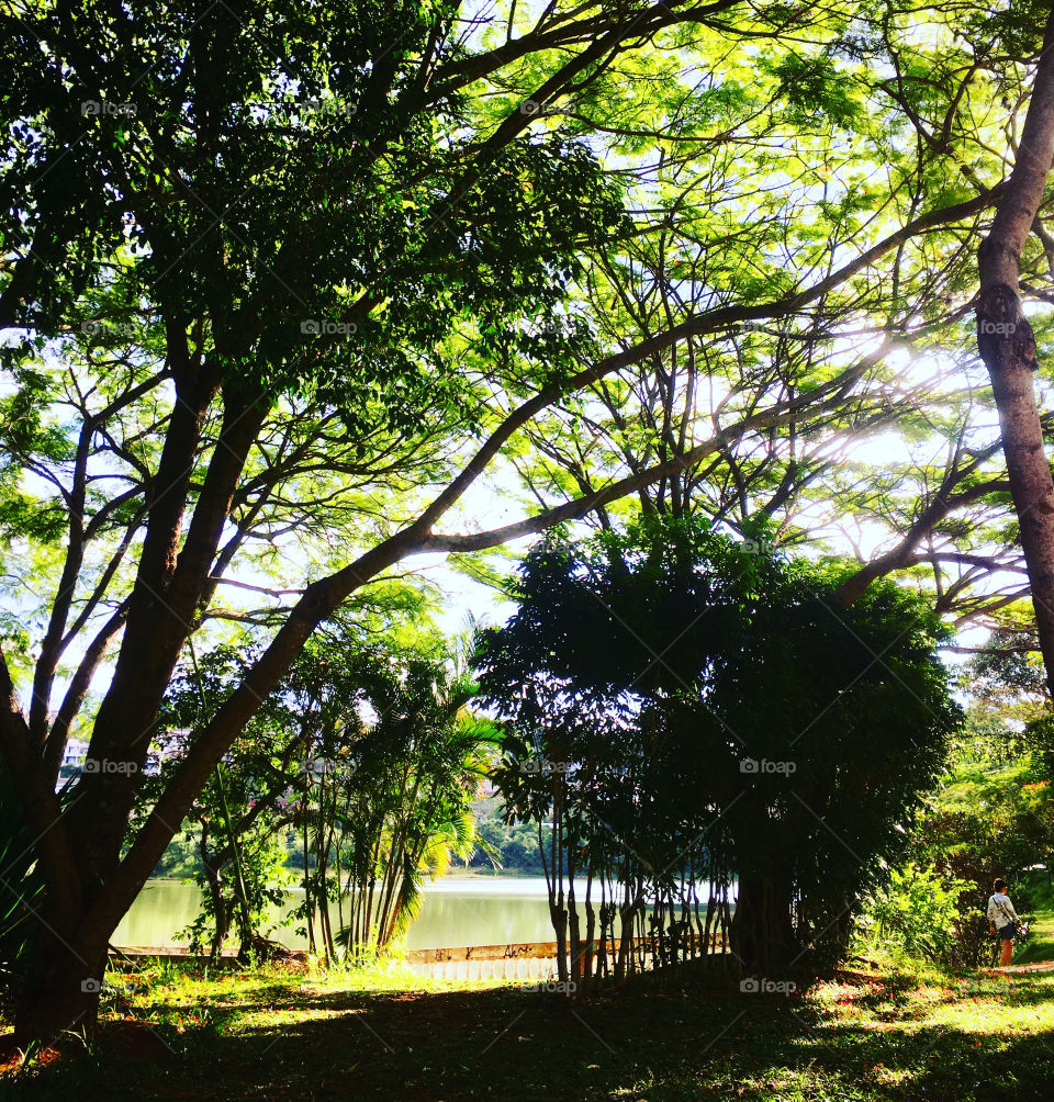 NATURE IS LIfe! O entardecer muito bonito no Lago do Orfeu, em Bragança Paulista.
Acho que o jargão “sombra e água fresca” serve perfeitamente pra cá, hein?