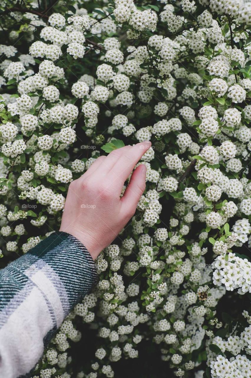 flowers people spring