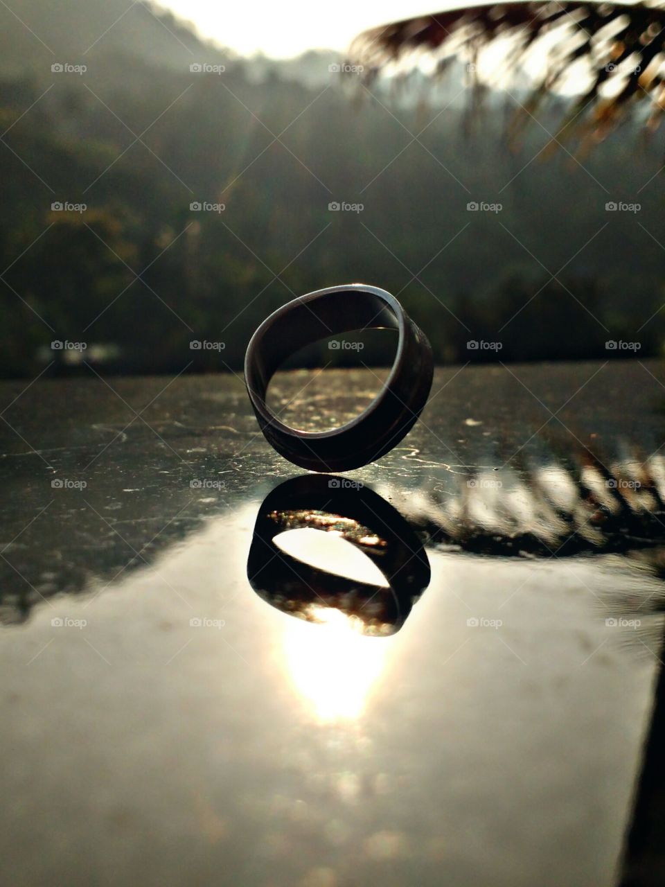 ring