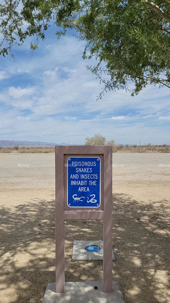 Look where you step, not much out here in the desert.