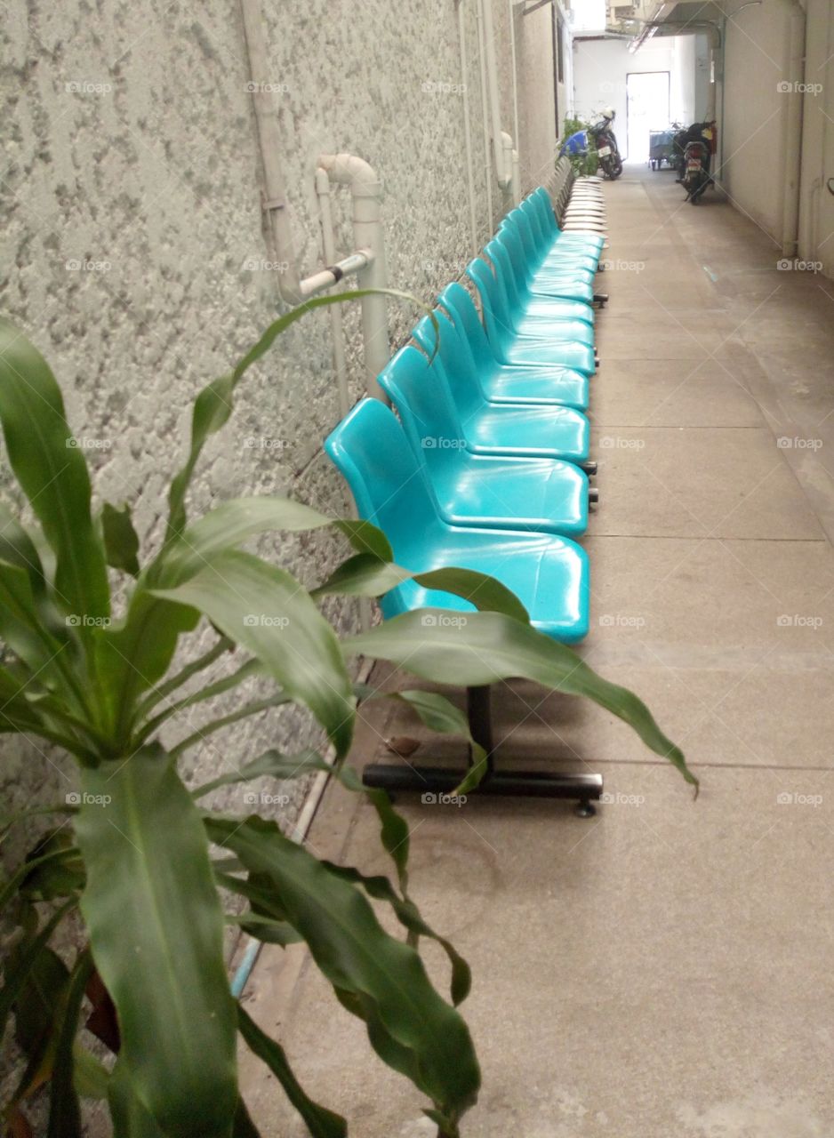 Blue chair beside the walkway