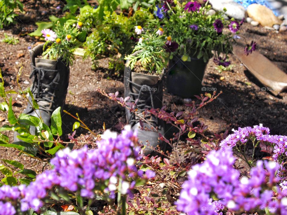 Drought Tolerant Landscaping
