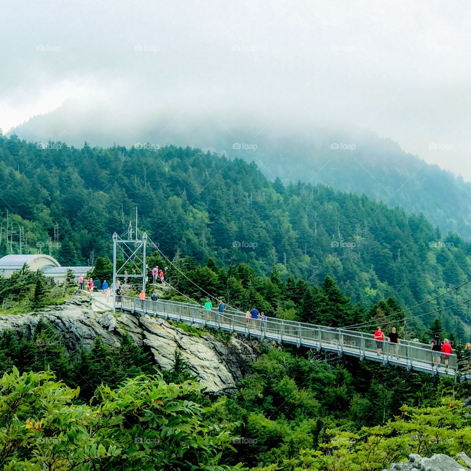 Mile high swinging bridge - Grandfather Mountain
