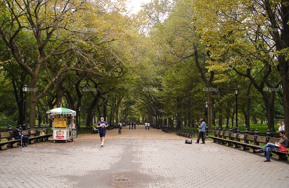 Central Park