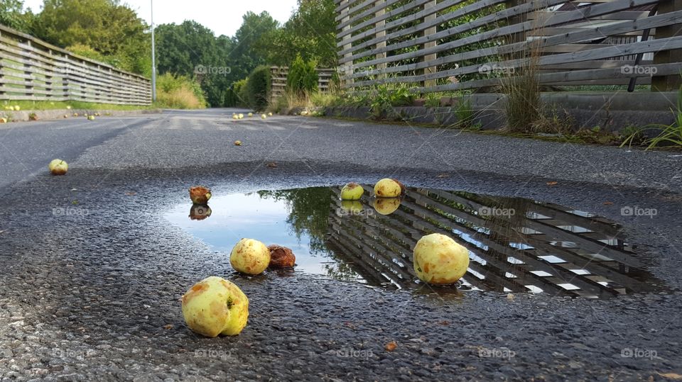 Autumn rain reflections 