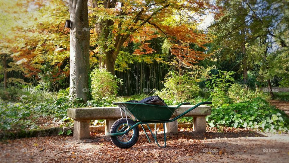 Wheelbarrow on scenic landscape