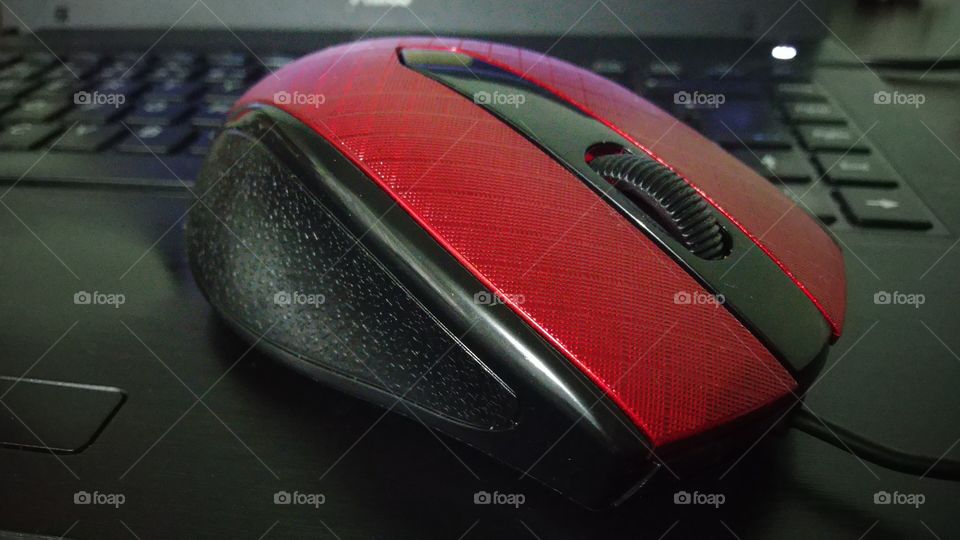 One Mouse