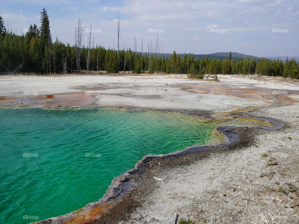 Yellowstone National Park