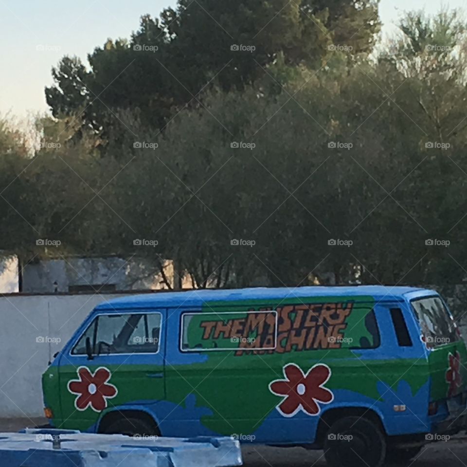 Where's Scooby?