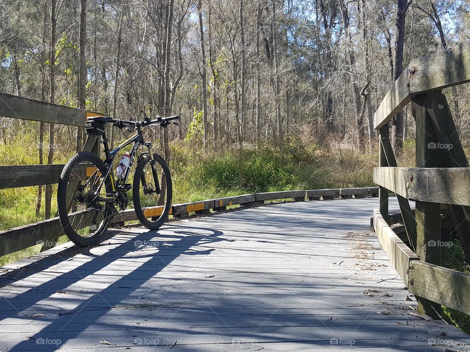 bicycle ride through a wetlands in Queensland