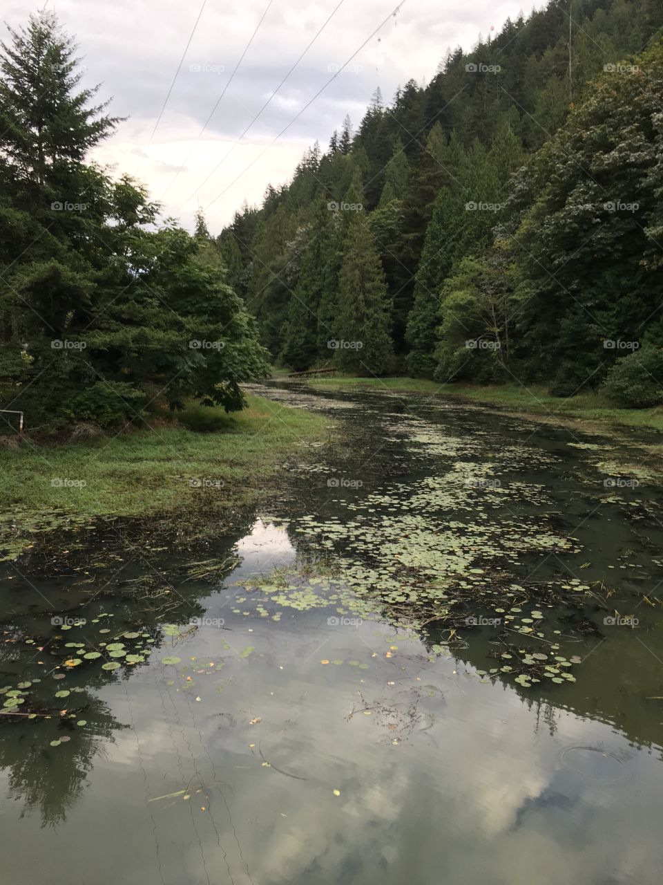 Harrison Lake