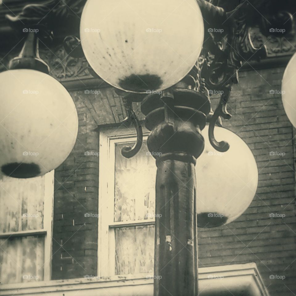 Lamplight 