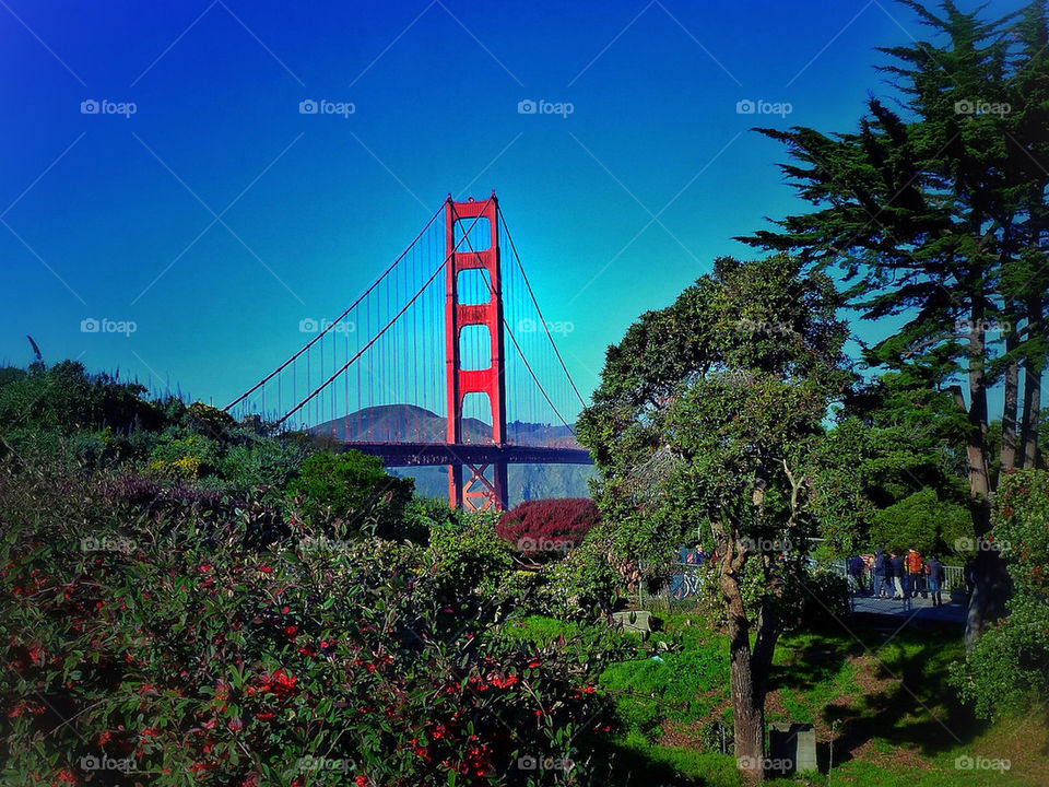 Golden Gate bridge