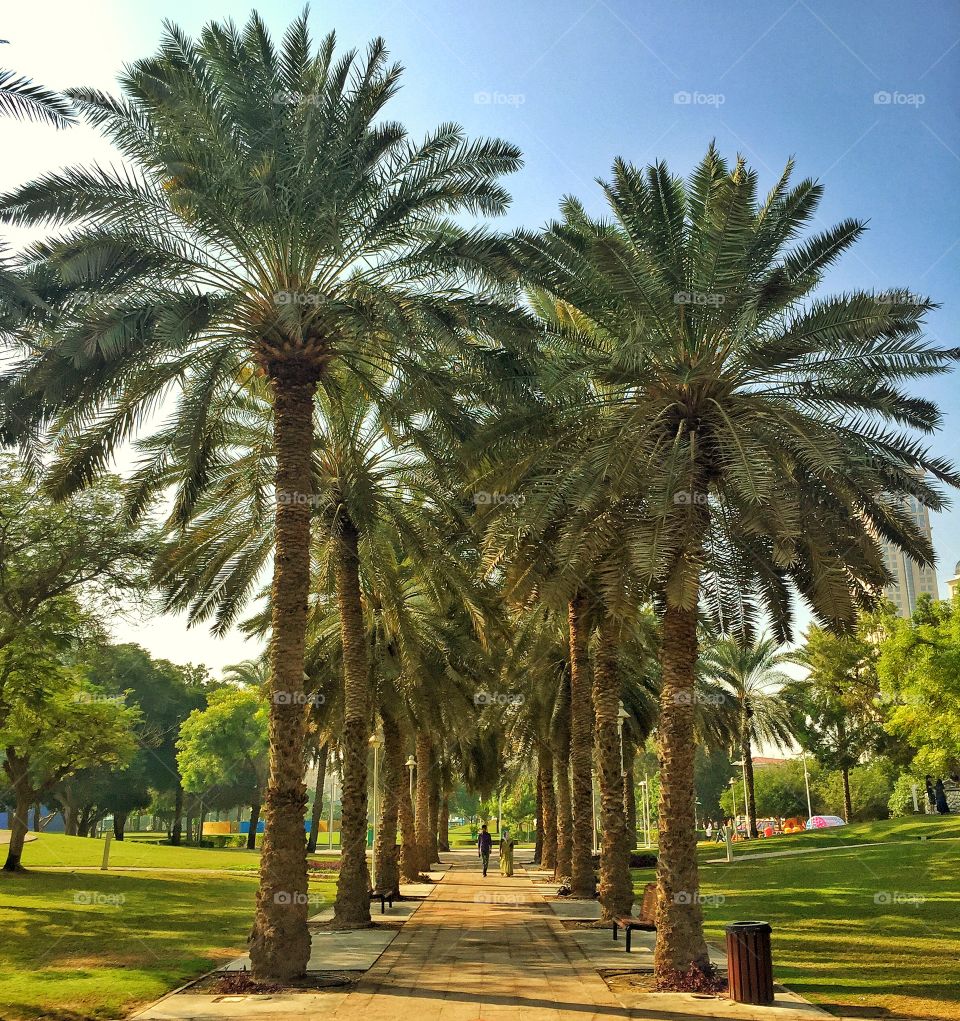 Walking in the park