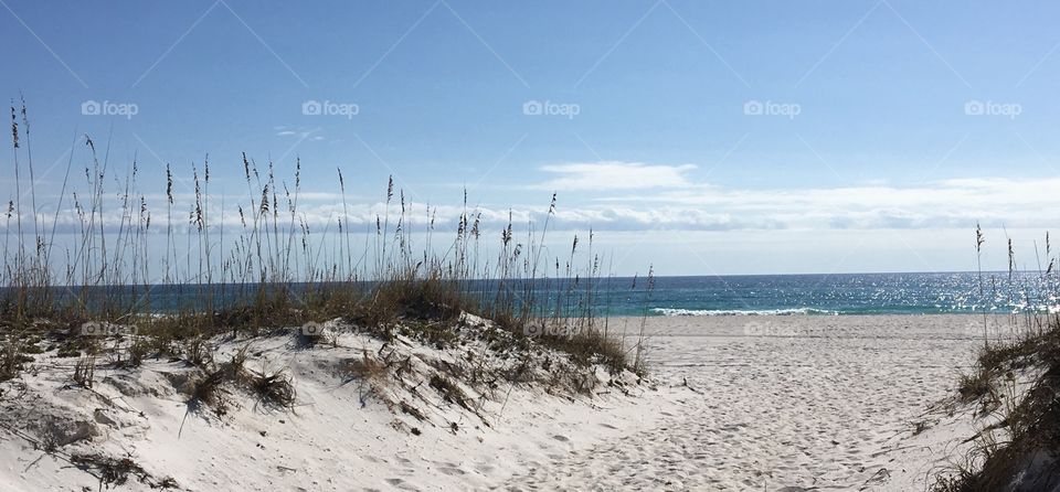 Pensacola beach 