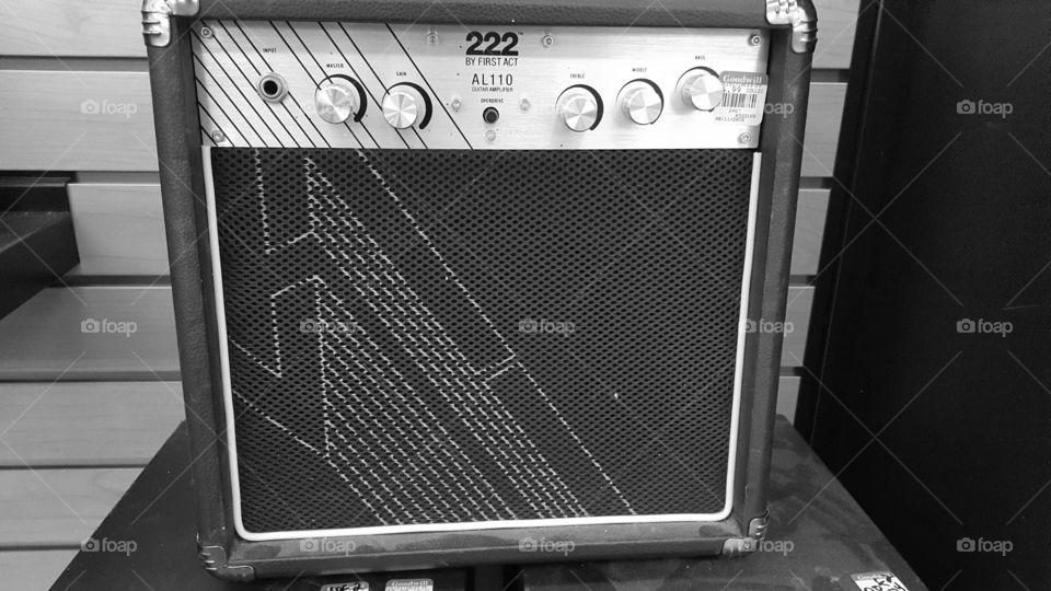 monochrome amplifier