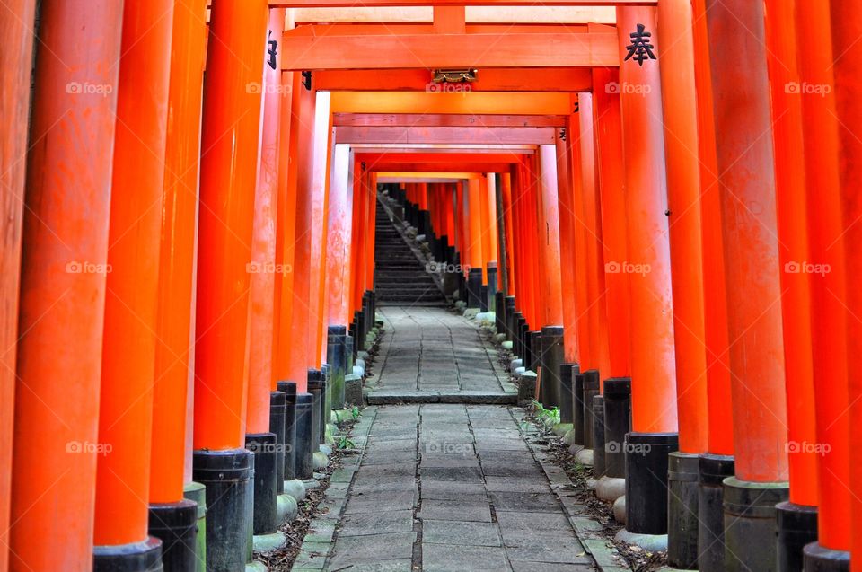 Fushimi inari shrine 