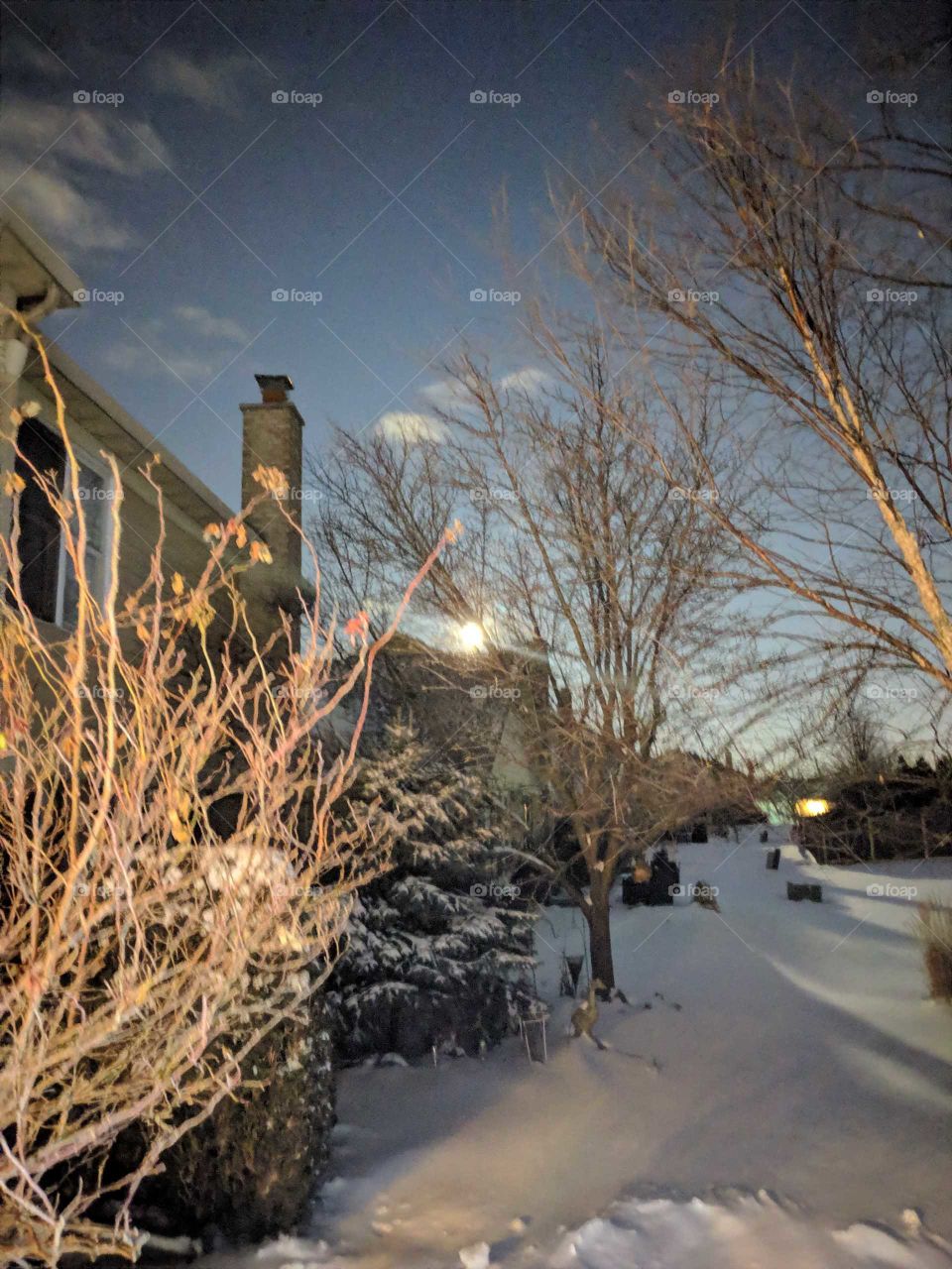 Spring cannot come fast enough