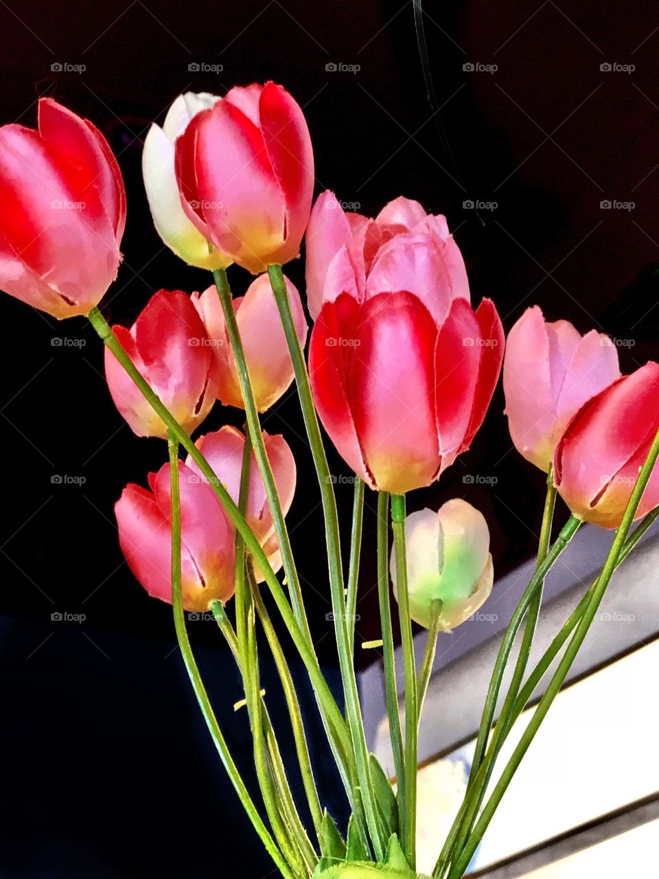 Red tulips