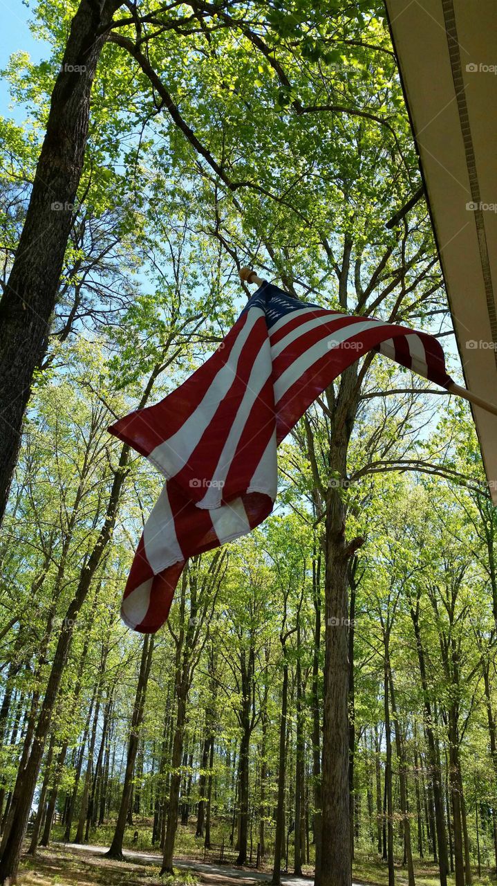 America the beautiful. Old glory flying strong and true.