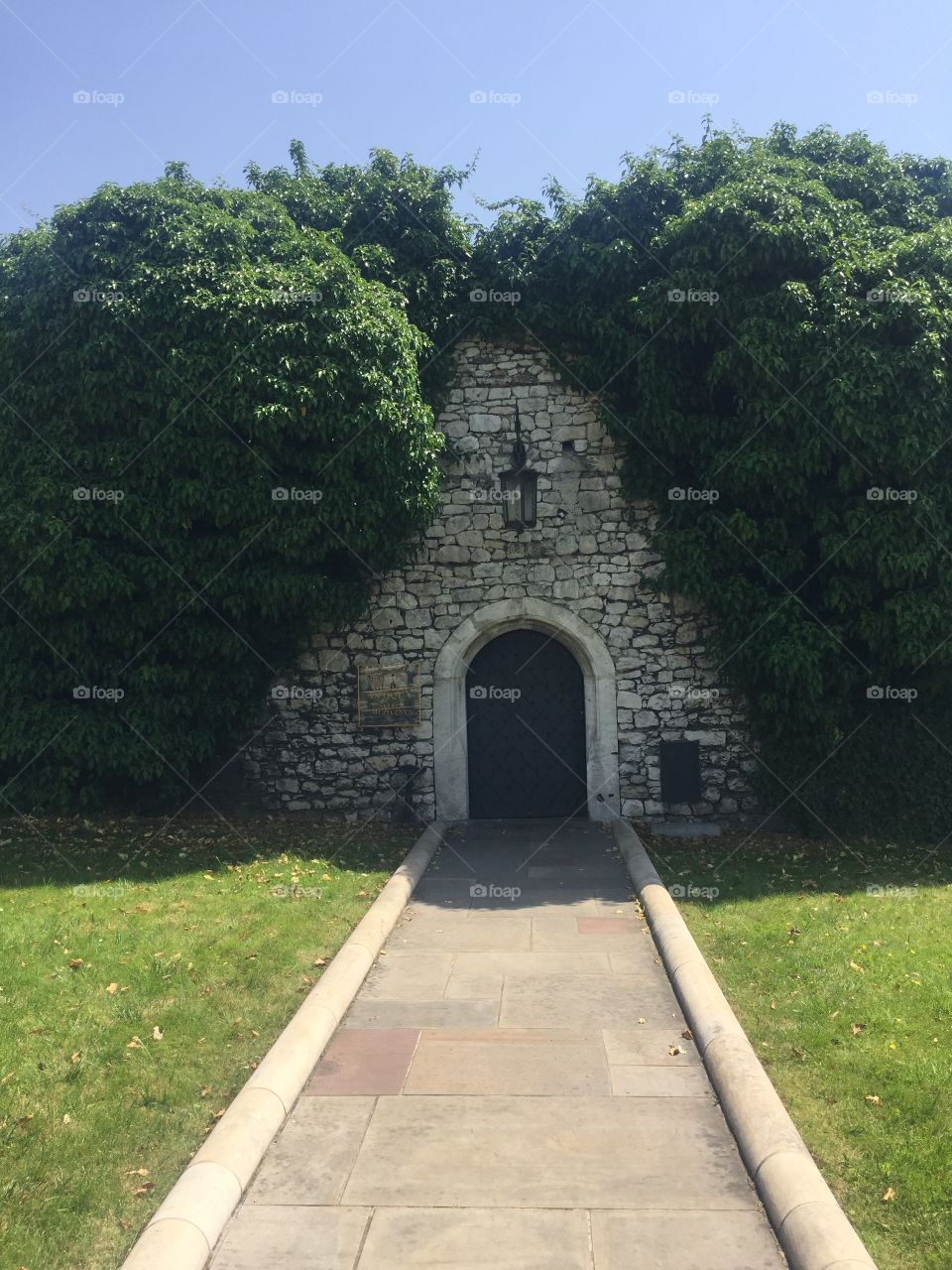 A fairytale door into the wall of a castle, covered with ivy